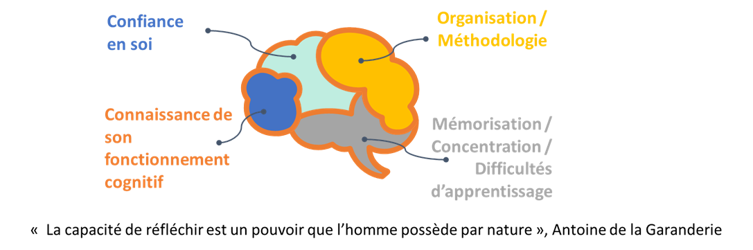 Confiance en soi. Organisation méthodologie. Mémorisation;concentration;difficultés d'apprentissage. Connaissance de son fonctionnement cognitif